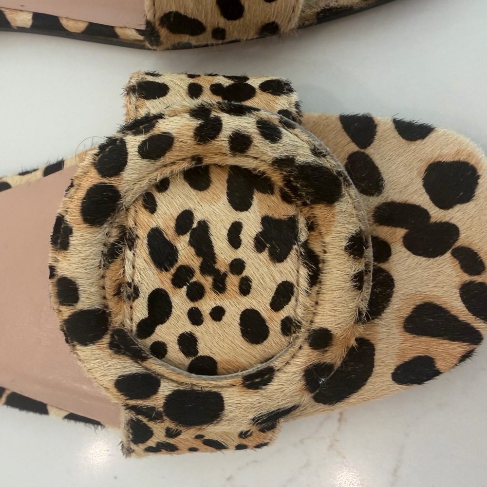 Tony Bianco Persia Leopard Print Flat Sandal - Picture 5 of 15